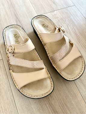 Alegria Beige Slide Sandals with Gold Buckle- Women’s EU 38/US 7.5
